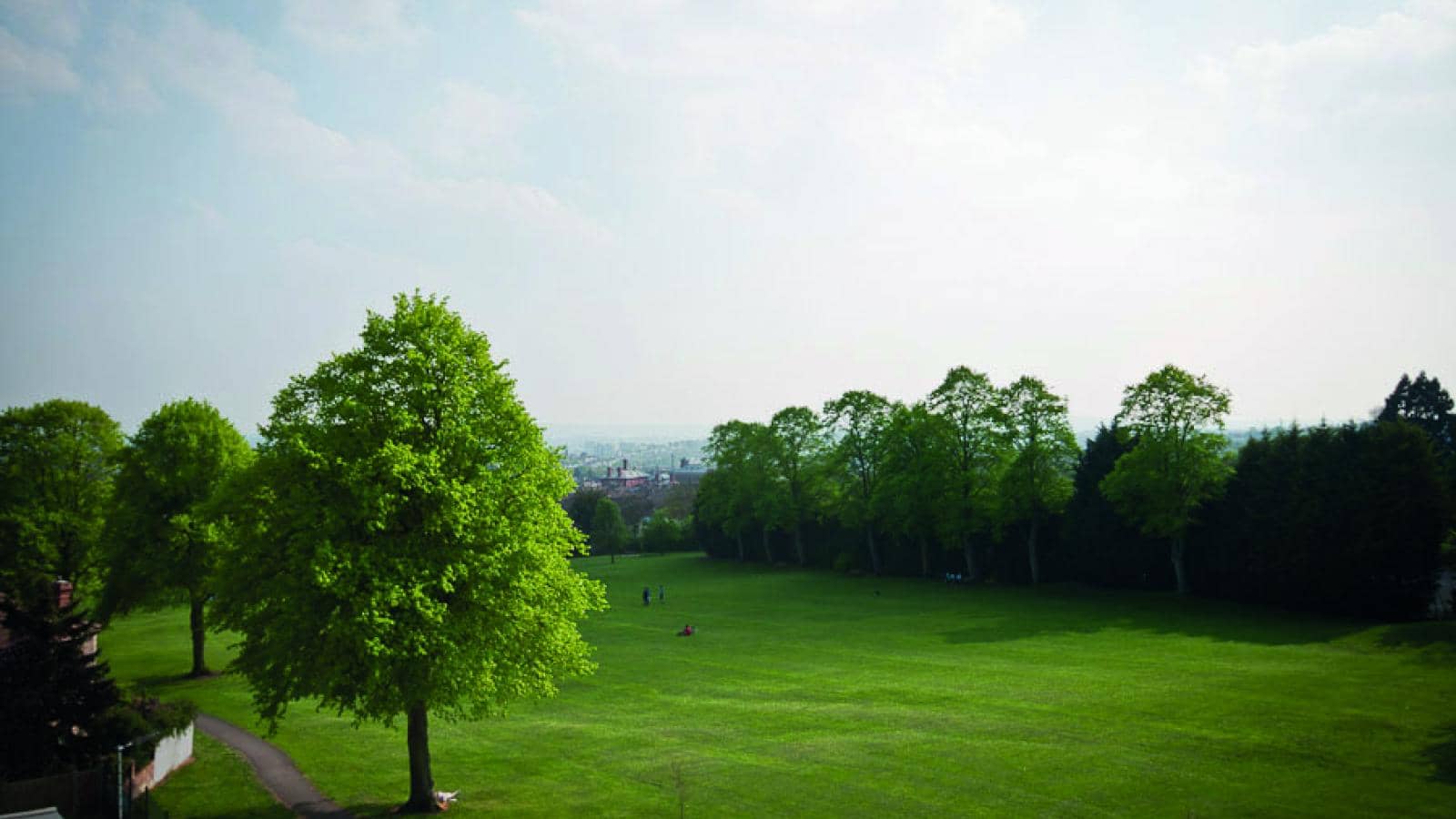 View from the rear of Horfield Lodge care home across open green parkland including trees and path