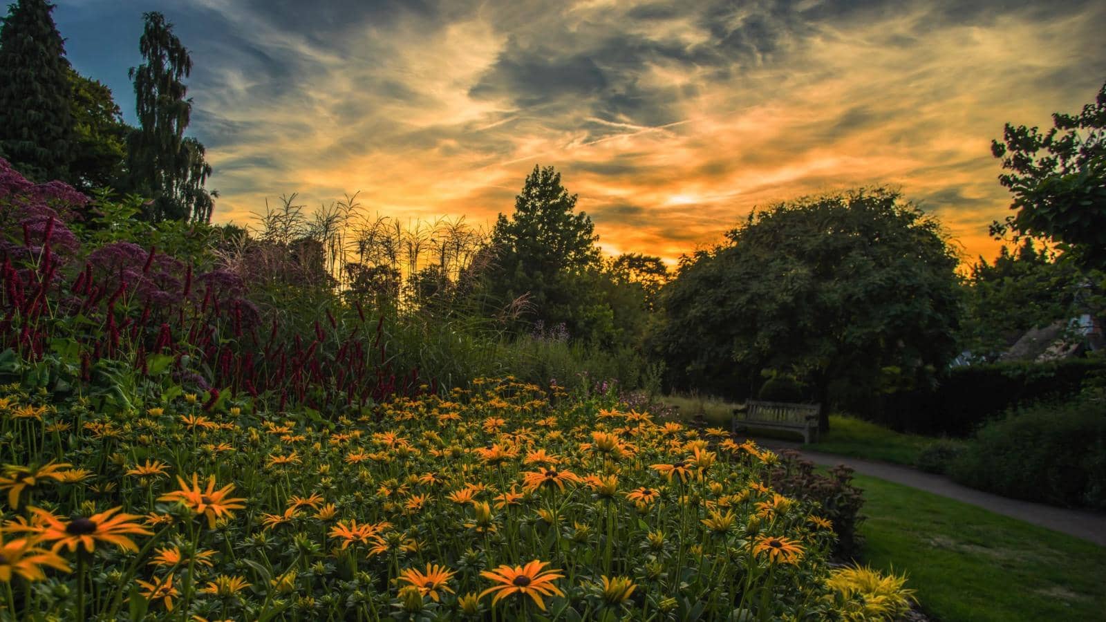 Dramatic sunset over Coombe Park, Croydon, UK