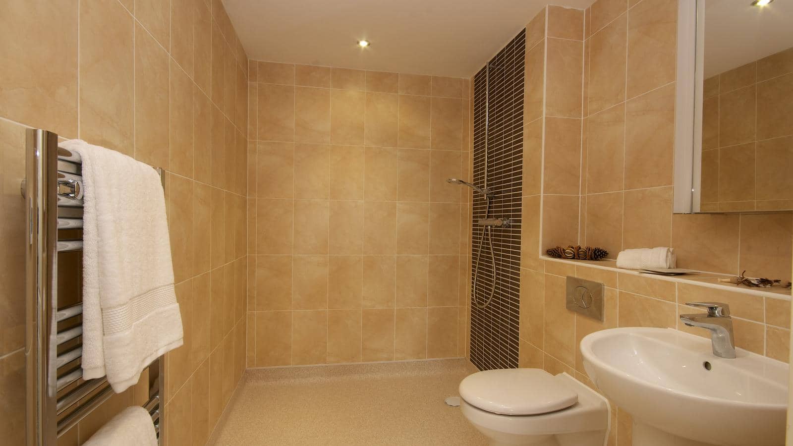 Retirement living scheme washroom at Adlington House Wolstanton