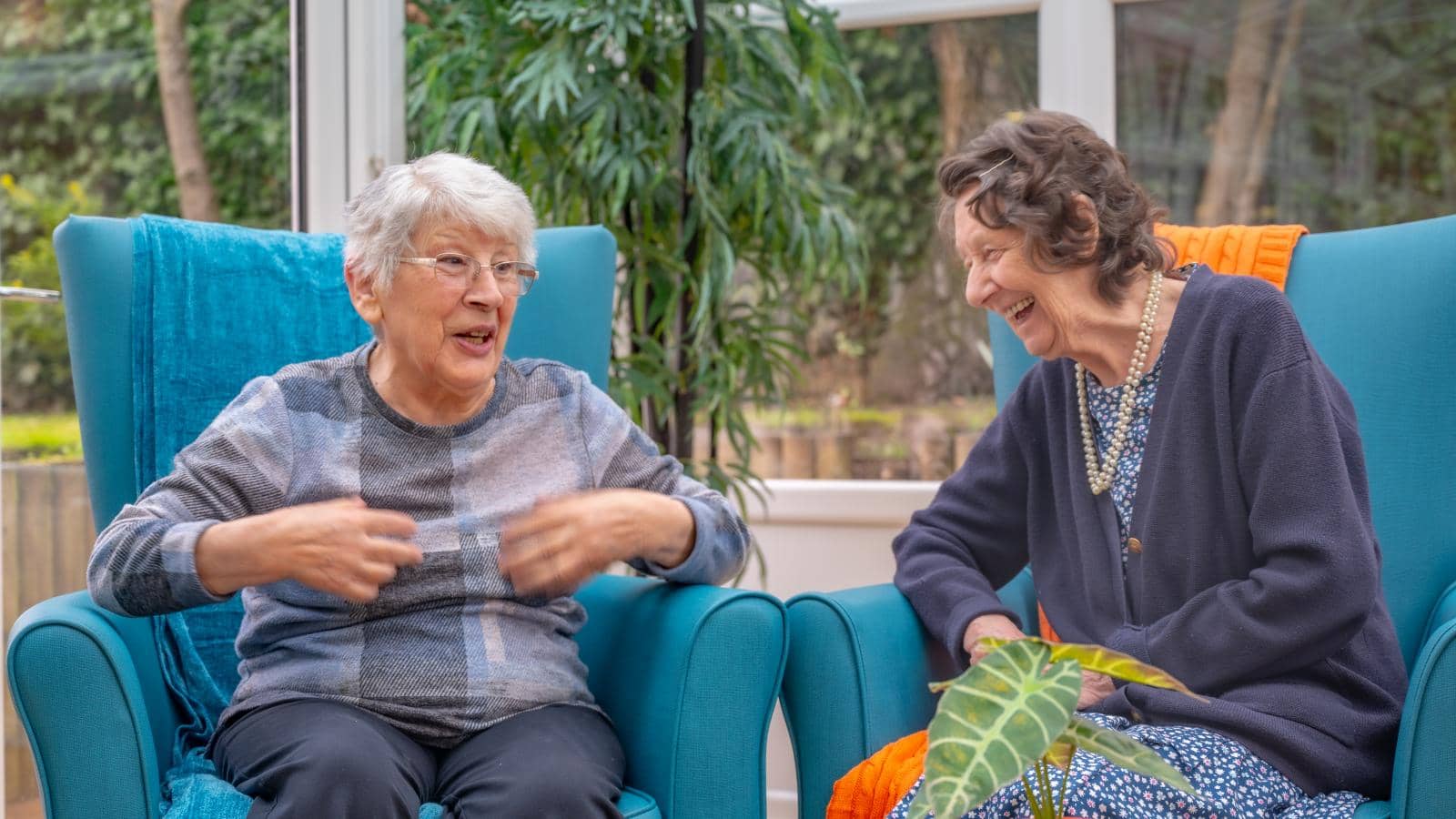 Two elderly women sit in bright armchairs in a sunlit room, engaged in a lively conversation. One laughs heartily while the other gestures. Lush greenery is visible through large windows, adding a warm atmosphere. 