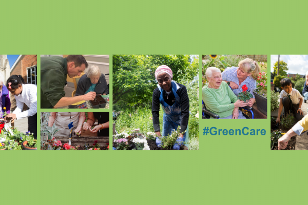 Image shows a collage of people gardening 