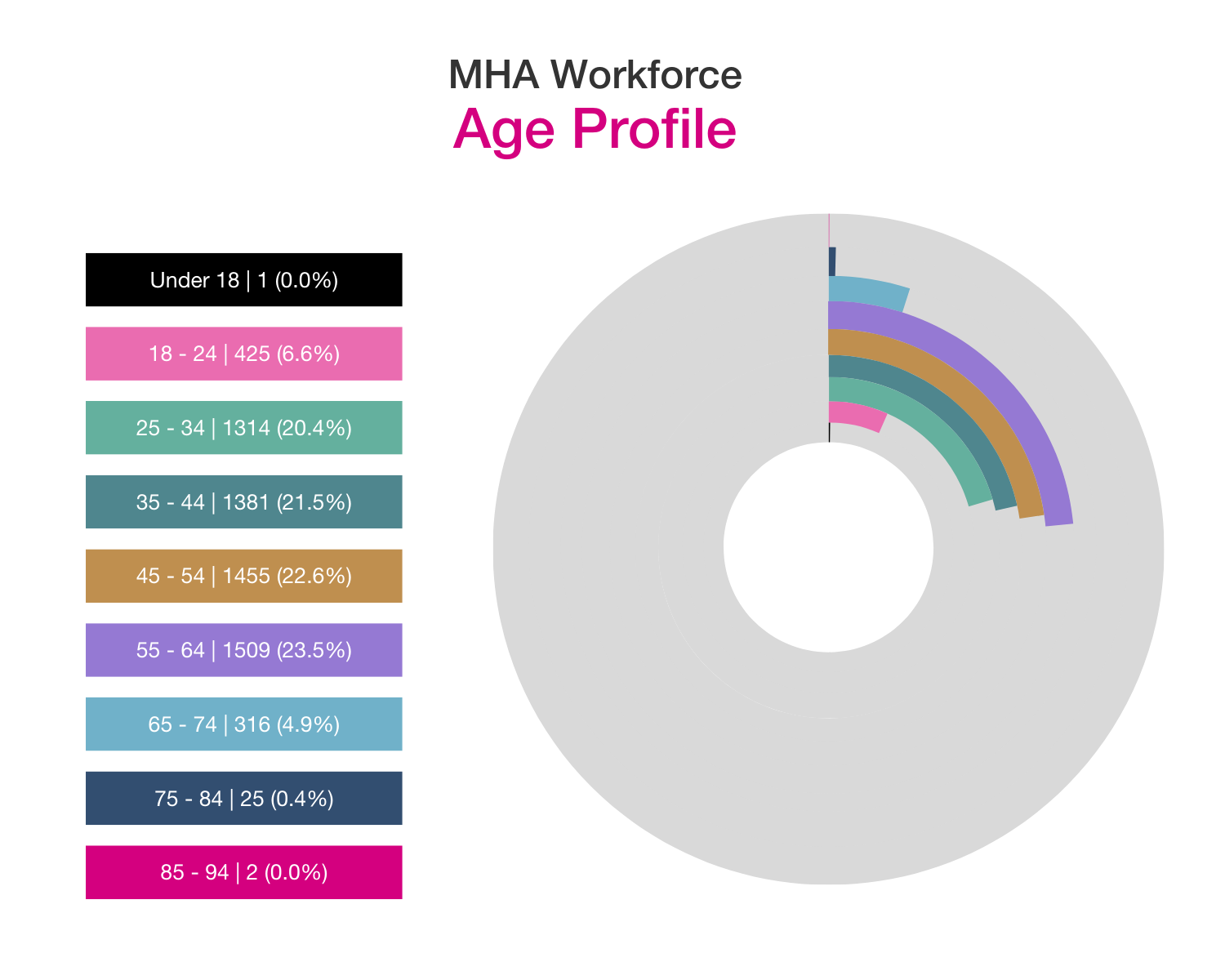 MHA workforce age profile