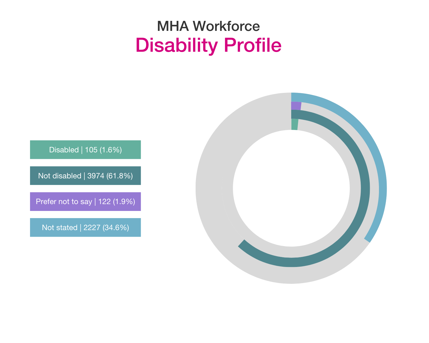 MHA workforce disability profile