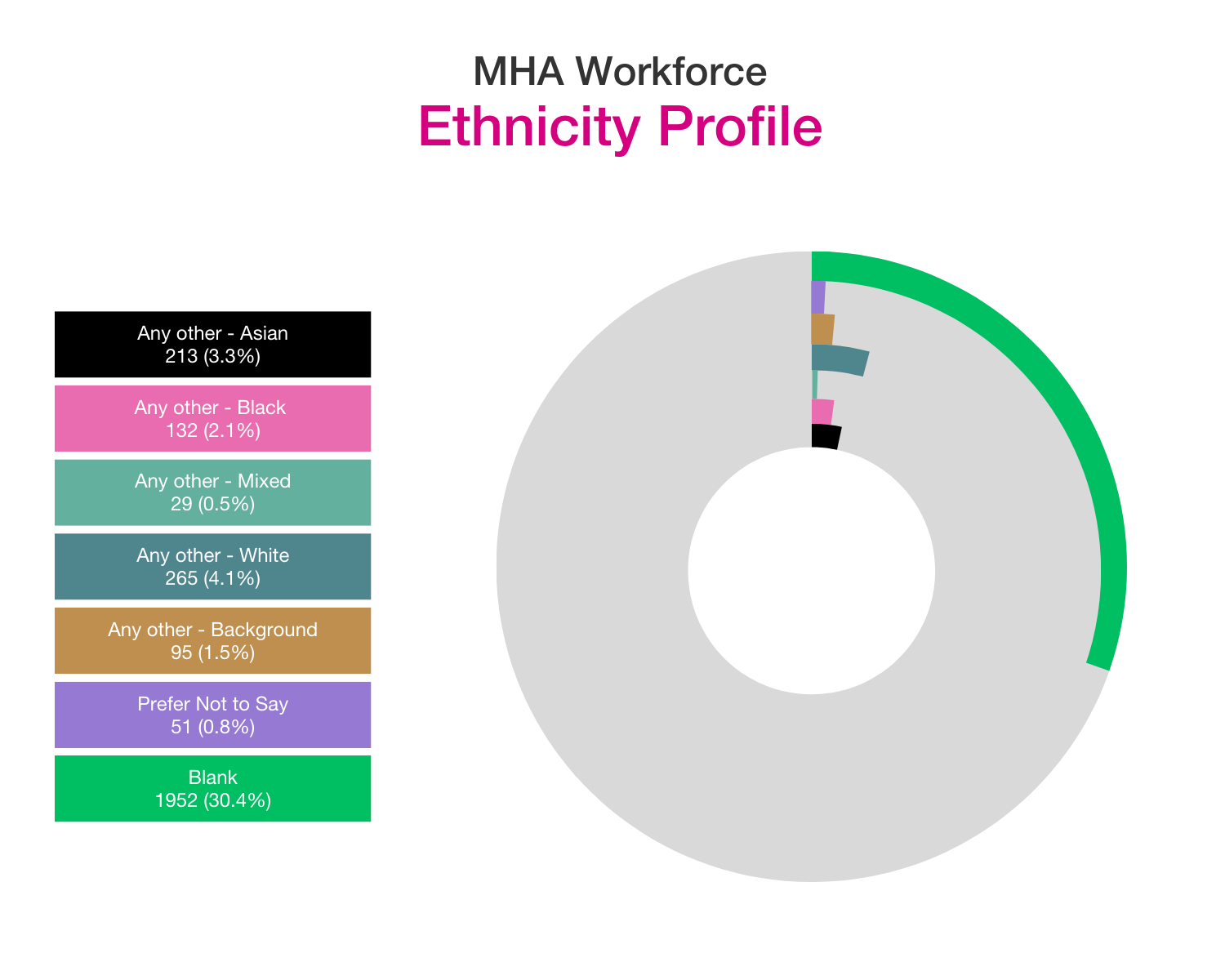 MHA workforce race profile