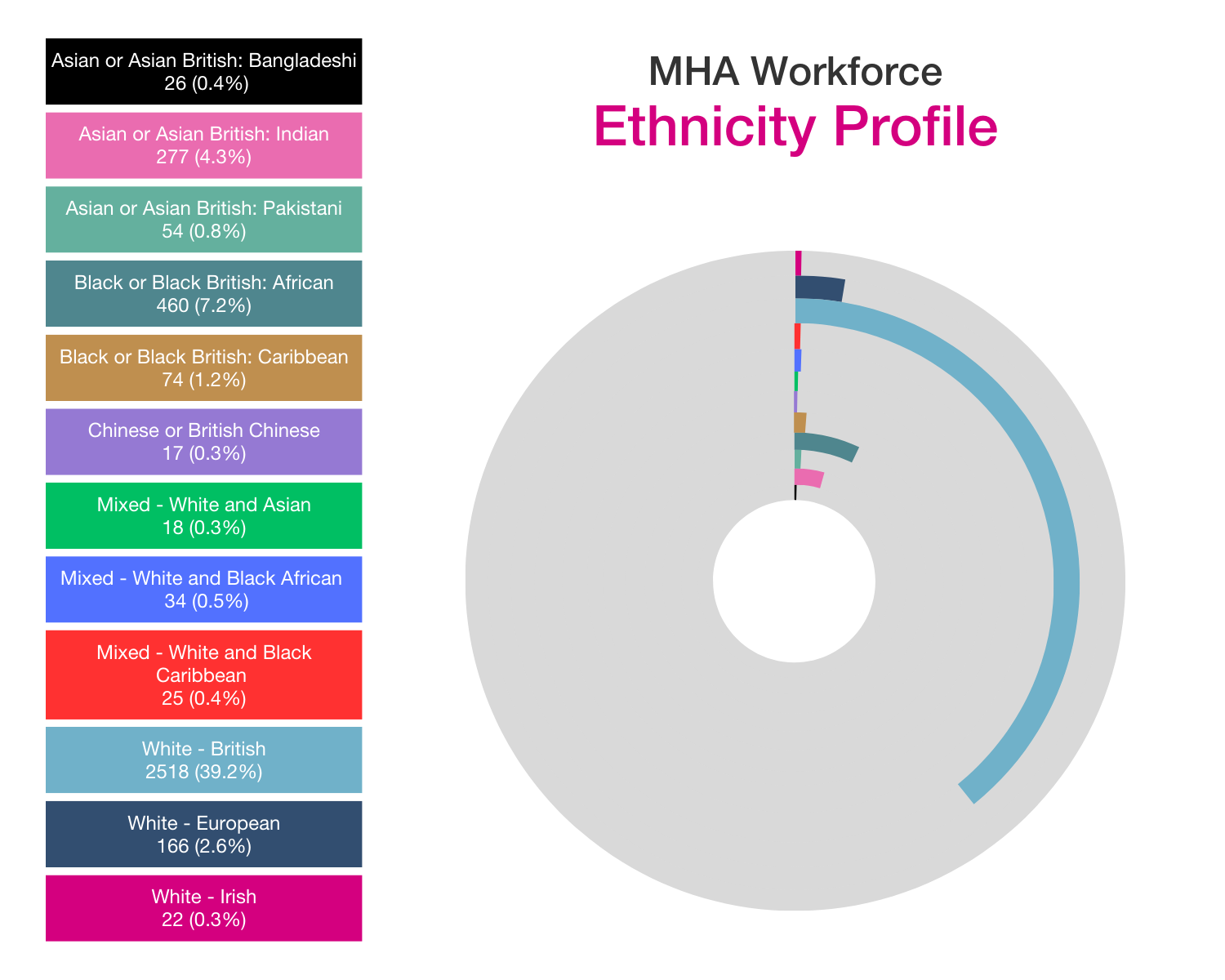 MHA workforce race profile