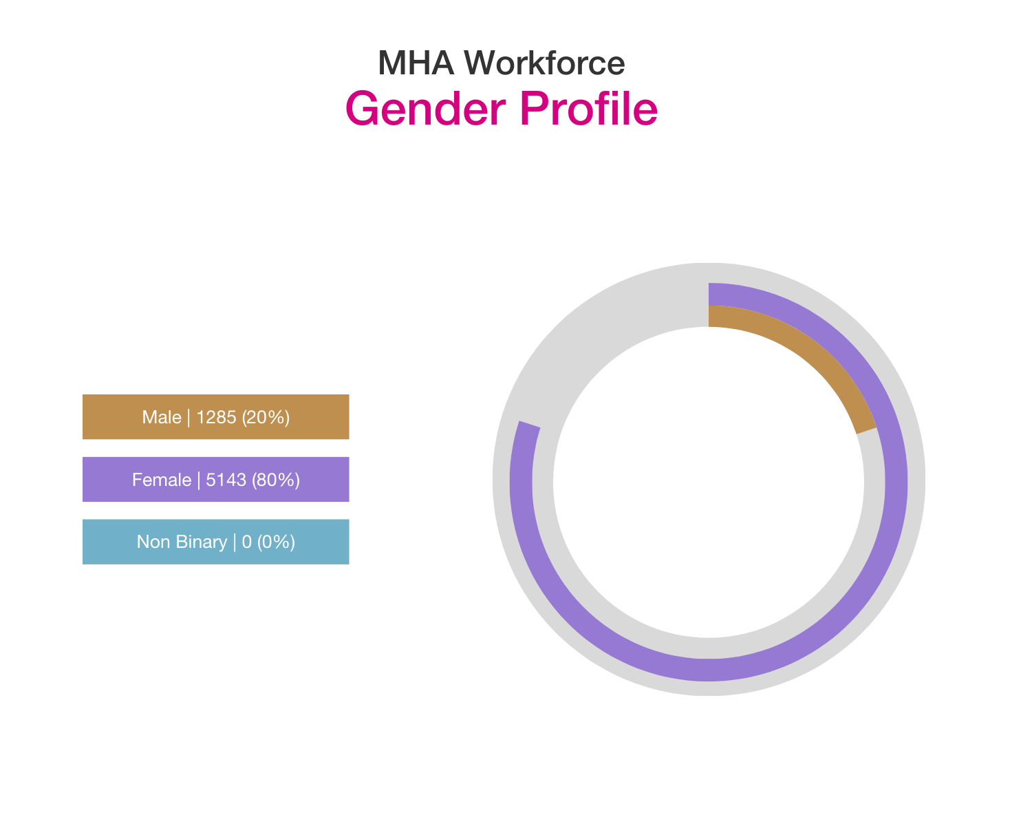 MHA workforce gender profile