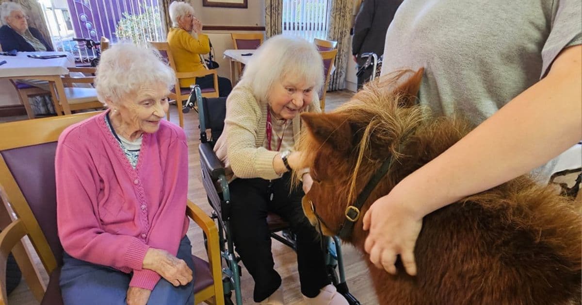 MHA The Herons welcomes special four-legged visitor for residents