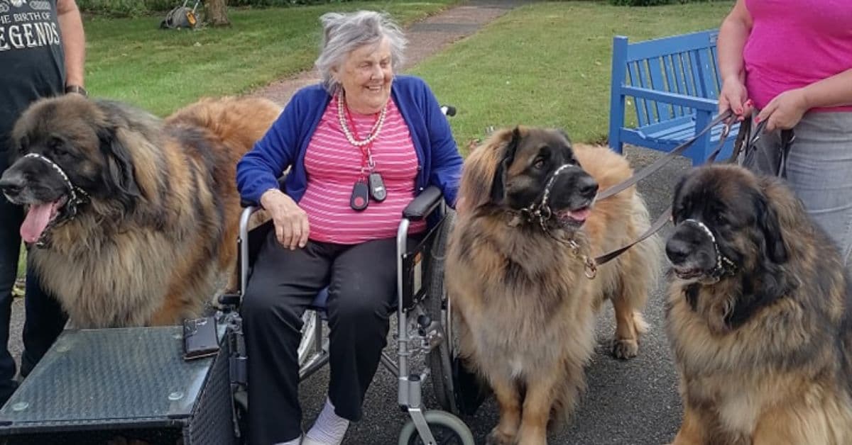 MHA Cromwell House welcomes trio of dogs into home to meet residents