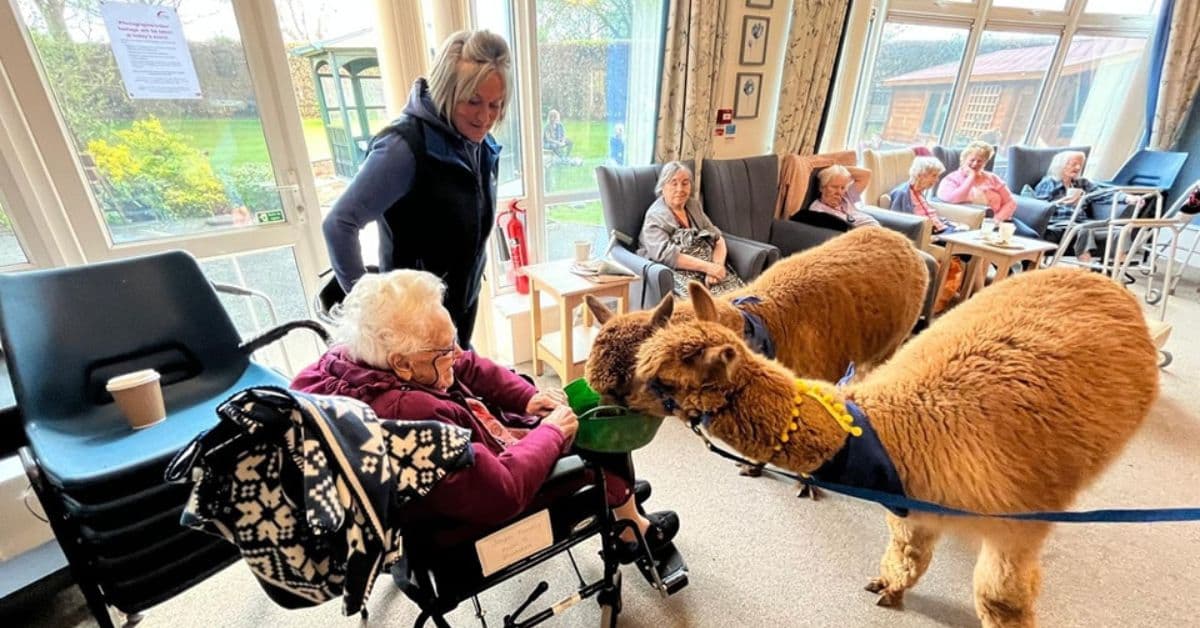 MHA Priceholme raises more than £350 following spring fair