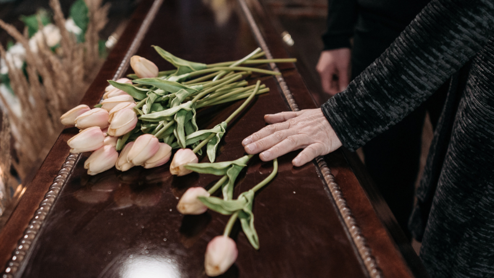 Tulips are laid on a coffin and someone put their hand on top. 