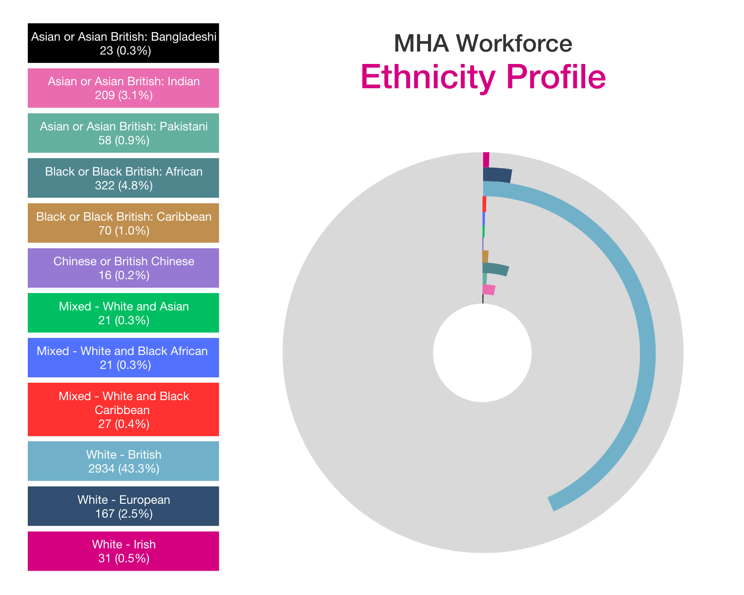 MHA ethnicity profile