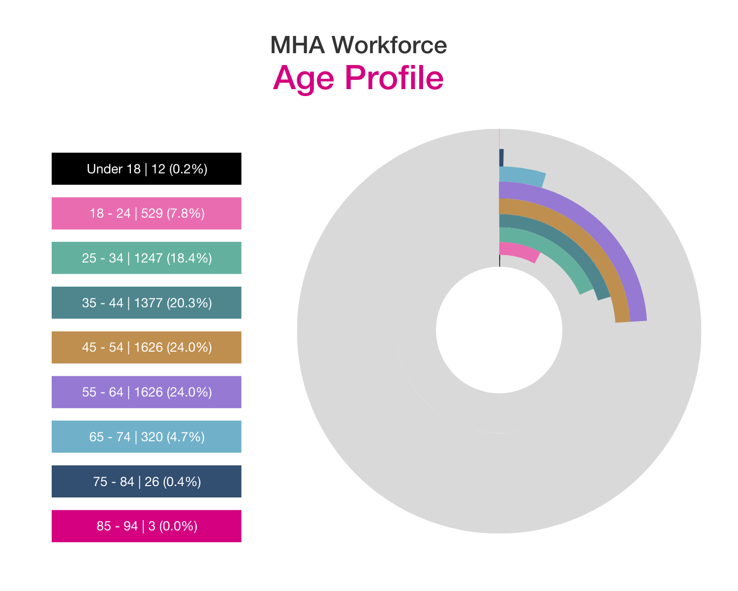 MHA workforce age profile 2023