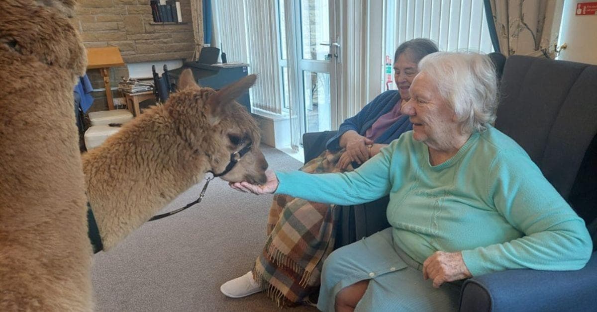 Welcome surprise at MHA Priceholme as furry friends come to visit residents