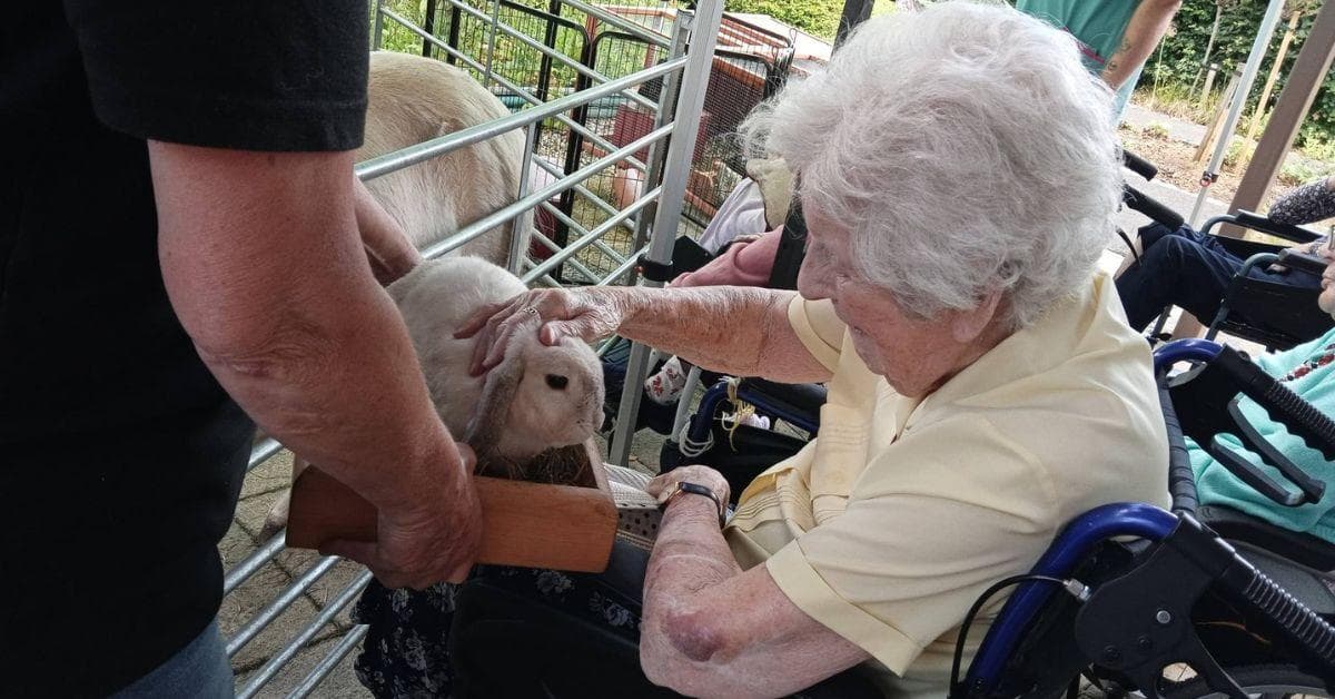 MHA The Fairways welcomes furry animals as farm comes to visit