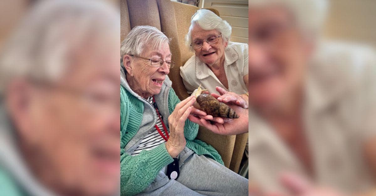 Residents at MHA Starr Hills spend time with giant snails and snakes as they come to visit