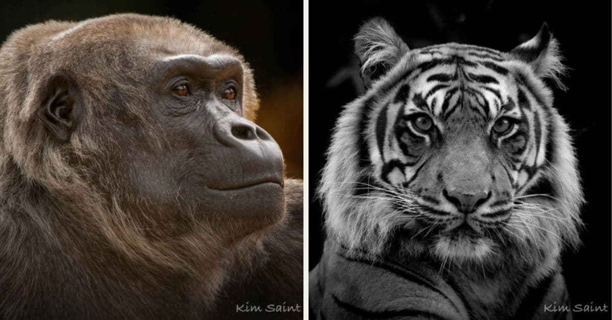 Home manager at MHA Bradbury Grange to showcase her photography skills at London Photo Show