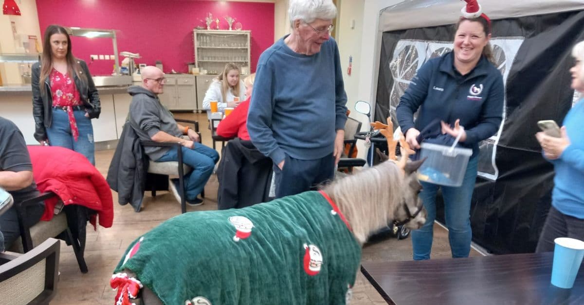 MHA The Fairways raises more than £700 in 2 and a half hours from “very successful" Christmas fayre