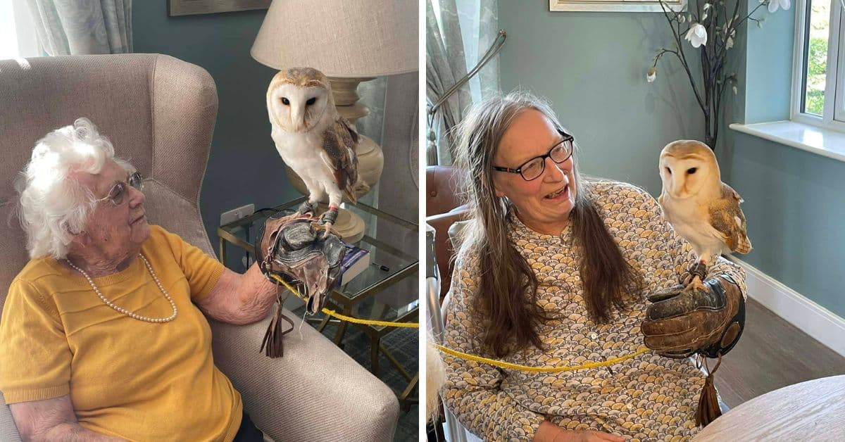 Residents delight as birds come to visit at MHA Montpellier Manor